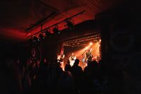 Konsertbilder/2024/blomst/blomst-11.jpg