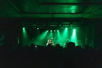 Konsertbilder/2024/blomst/blomst-12.jpg