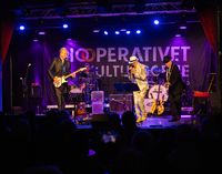 Konsertbilder/2024/bluesnight/bluesnight-04.jpg
