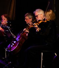 Konsertbilder/2024/oscardanielsson/oscardanielsson-03.jpg